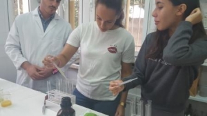 Prácticas laboratorio. IES Tablero Aguañac I. Gran Canaria. 6-11-2018_5
